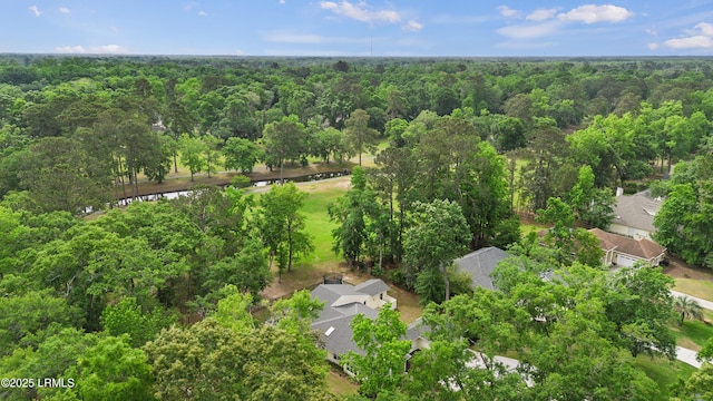 51 White Oaks Cir, Bluffton, SC 29910 - view of property location featuring a forest