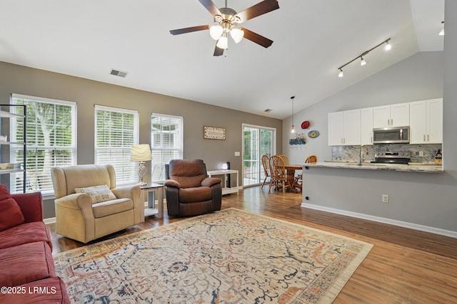 29 Wiregrass Way, Bluffton, SC 29910 - living room with lofted ceiling, a ceiling fan, wood finished floors, rail lighting, and baseboards