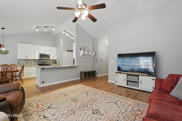 29 Wiregrass Way, Bluffton, SC 29910 - living area with ceiling fan, wood finished floors, high vaulted ceiling, track lighting, and baseboards