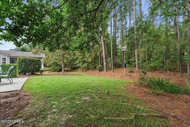 61 Hampton Cir, Bluffton, SC 29909 - view of grassy yard with a patio