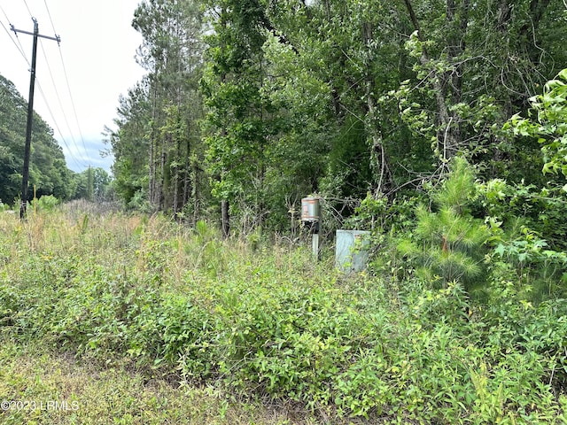 Listing photo 3 for LOT4 Robert Smalls Pkwy, Beaufort SC 29906