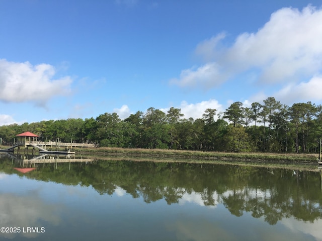 4 Connies Point Dr, Beaufort, SC 29907