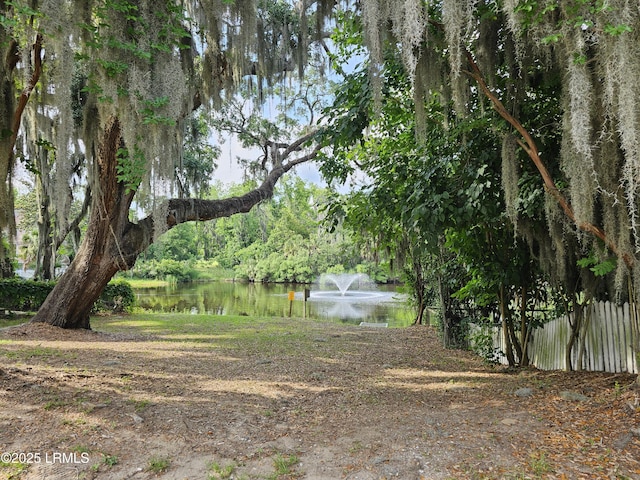 802 12th St, Port Royal, SC 29935 - view of yard with a water view