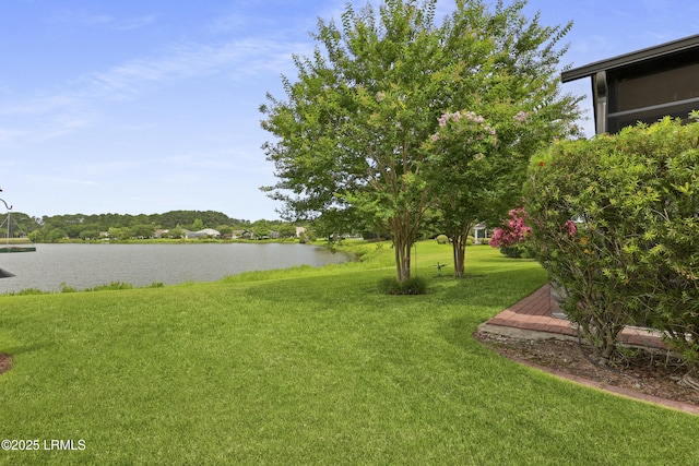 102 Lake Somerset Cir, Bluffton, SC 29909 - view of grassy yard with a water view