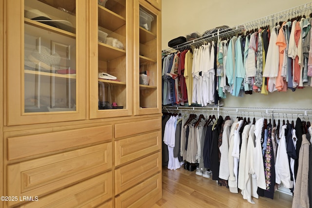102 Lake Somerset Cir, Bluffton, SC 29909 - walk in closet featuring light wood-style floors