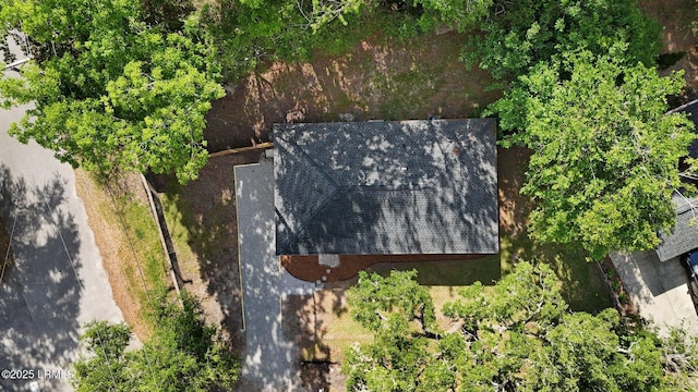aerial view