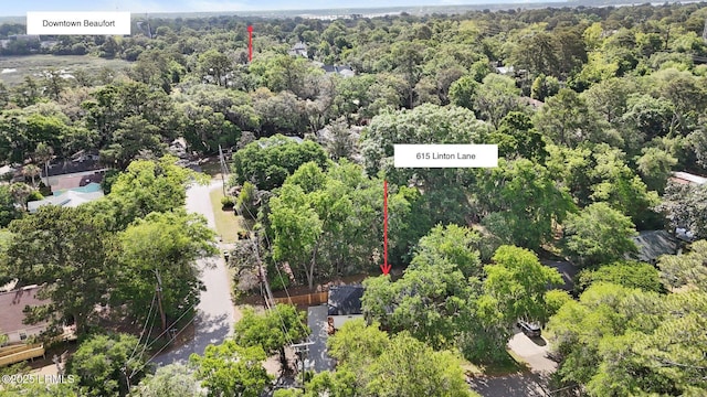 drone / aerial view with a forest view