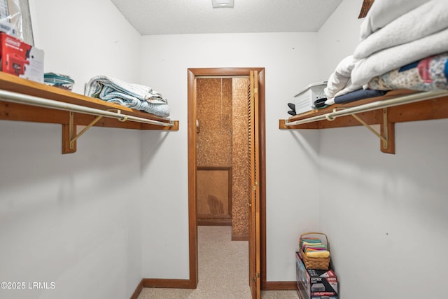 spacious closet with carpet floors