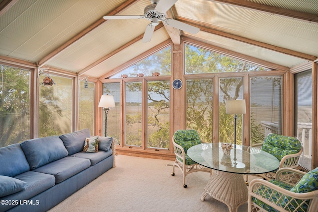 sunroom / solarium with a healthy amount of sunlight, lofted ceiling with beams, and carpet