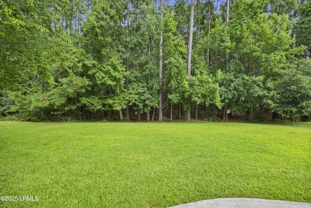 36 Redtail Dr, Bluffton, SC 29909 - photo 12