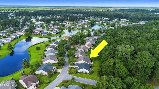 36 Redtail Dr, Bluffton, SC 29909 - photo 16