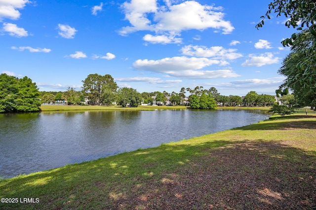 15 6th Ave, Bluffton, SC 29910 - water view