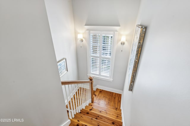8 Fort Lyttleton, Beaufort, SC 29906 - photo 60