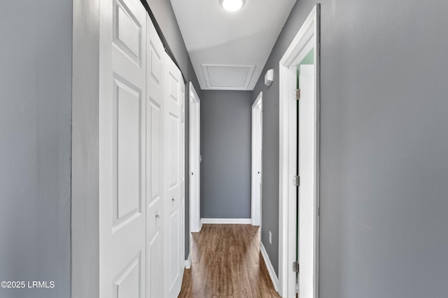 hallway featuring wood-type flooring