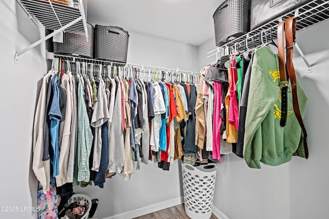 7058 Roseida Rd, Beaufort, SC 29906 - spacious closet with wood finished floors