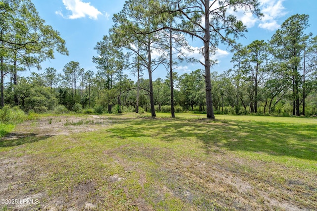 7058 Roseida Rd, Beaufort, SC 29906 - view of grassy yard