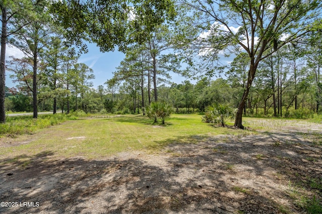 7058 Roseida Rd, Beaufort, SC 29906 - view of yard featuring a wooded view