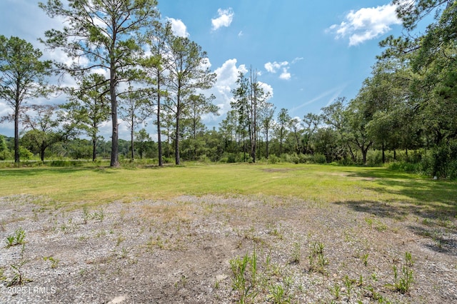 7058 Roseida Rd, Beaufort, SC 29906 - view of yard