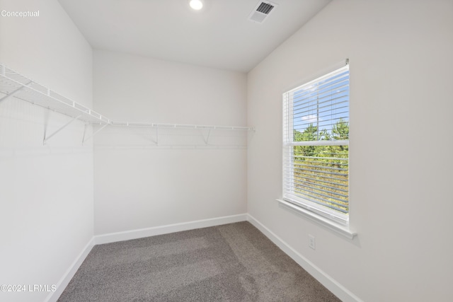 spacious closet featuring carpet floors