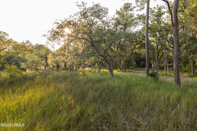 2224 Spanish Ct, Beaufort, SC 29902 - photo 30