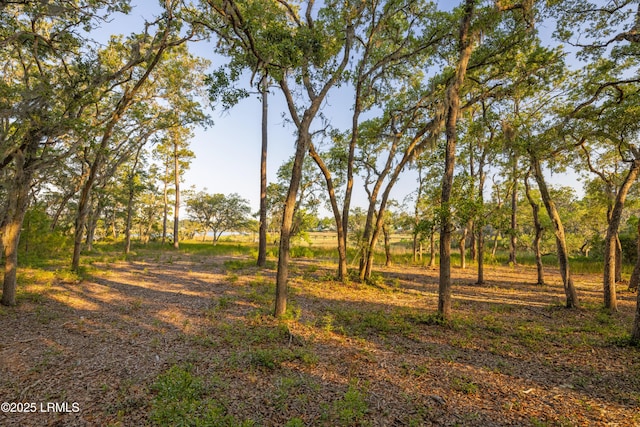 2224 Spanish Ct, Beaufort, SC 29902 - photo 26