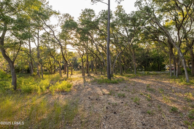2224 Spanish Ct, Beaufort, SC 29902 - photo 31