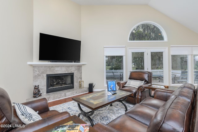 living room with hardwood / wood-style flooring, a fireplace, and vaulted ceiling