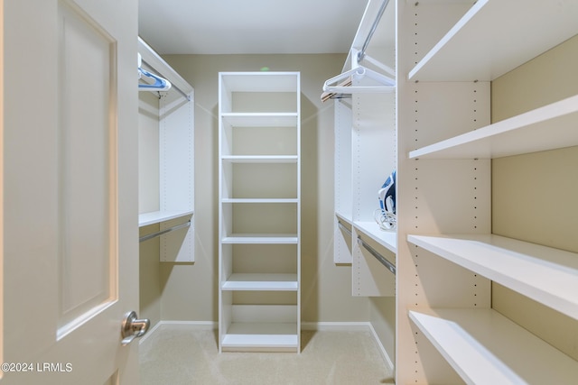 view of walk in closet