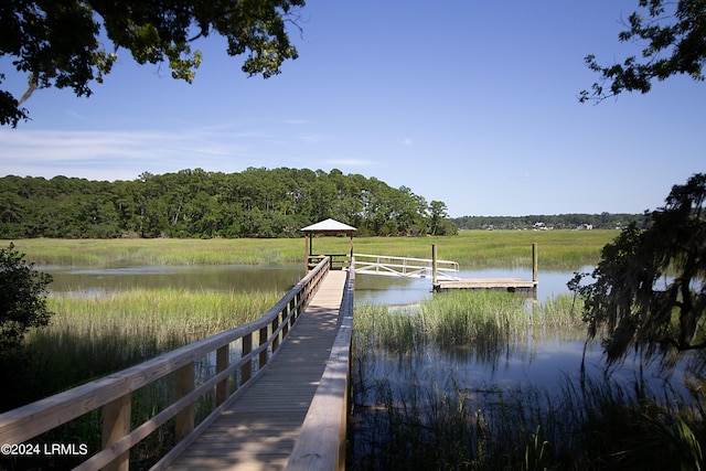 dock area featuring a water view