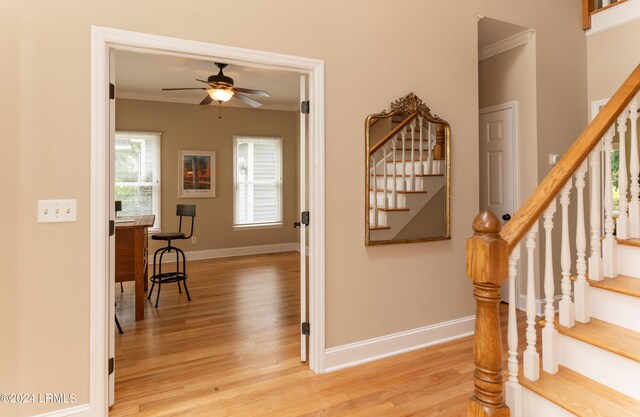 hallway featuring crown molding and light hardwood / wood-style floors