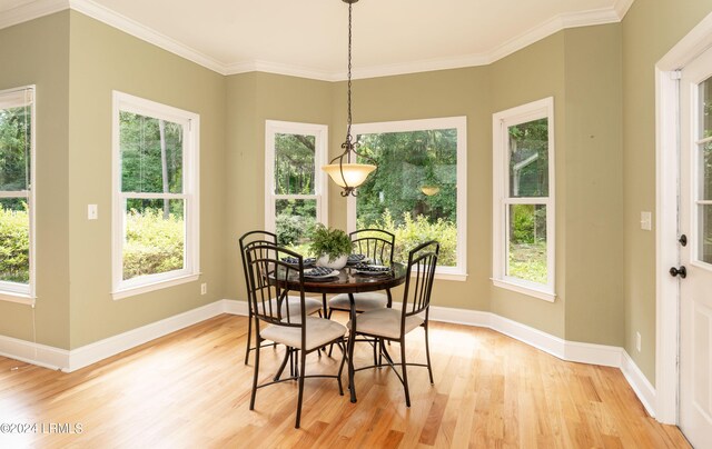 dining area featuring ornamental molding, plenty of natural light, and light hardwood / wood-style flooring