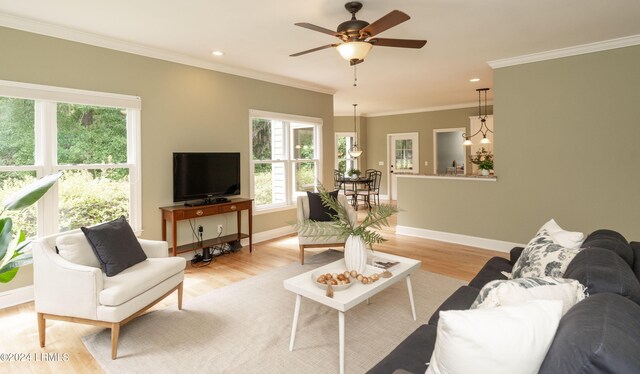 living room with ceiling fan, ornamental molding, a healthy amount of sunlight, and light hardwood / wood-style flooring