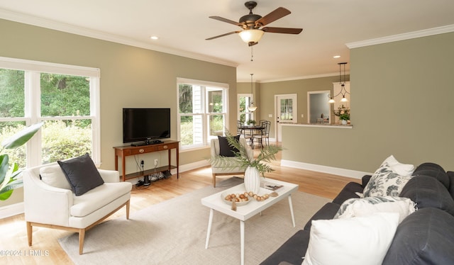 living room with ceiling fan, ornamental molding, a healthy amount of sunlight, and light hardwood / wood-style flooring