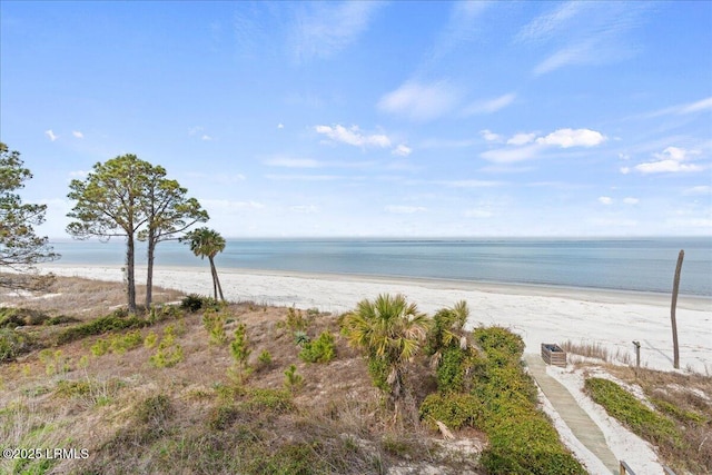 property view of water with a beach view