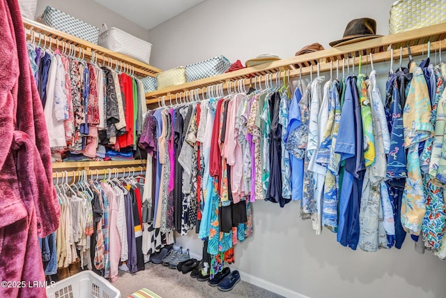 265 Beachcomber Blvd, Hardeeville, SC 29927 - spacious closet with carpet floors