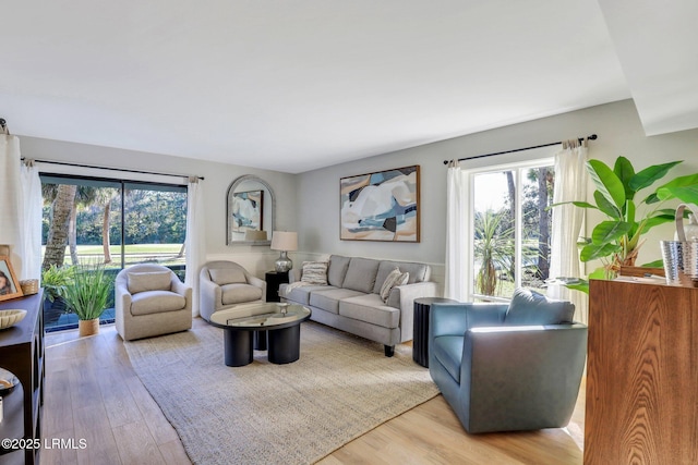 living room featuring light hardwood / wood-style flooring