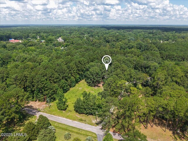 29 Epps Ave, Hardeeville, SC 29927 - photo 42