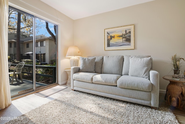 living room featuring wood-type flooring