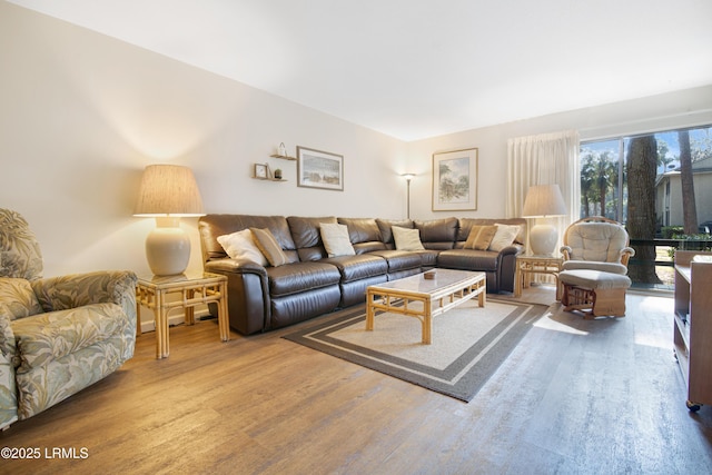 living room with wood-type flooring