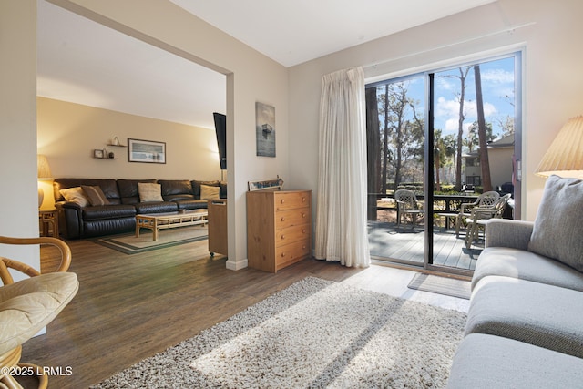 living room featuring dark hardwood / wood-style flooring