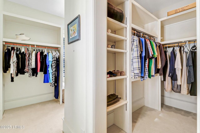 spacious closet featuring carpet