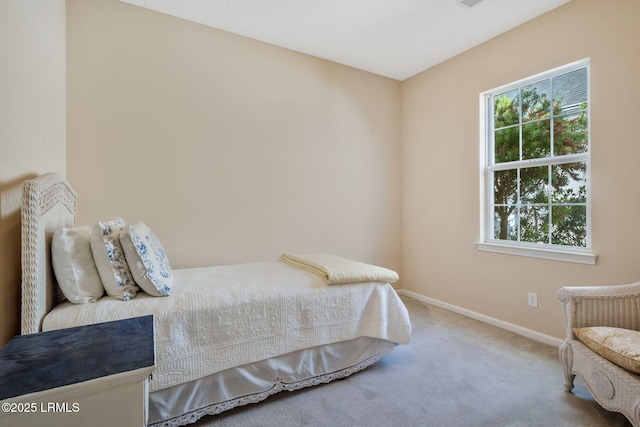 10 Cherry Ln, Okatie, SC 29909 - carpeted bedroom with baseboards