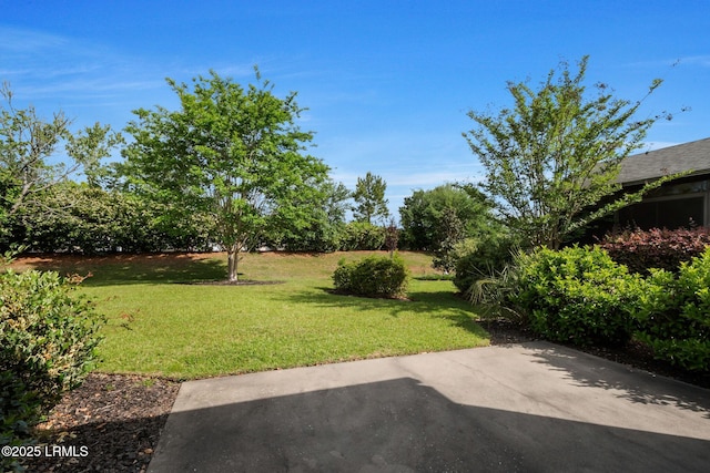 10 Cherry Ln, Okatie, SC 29909 - view of yard featuring a patio area