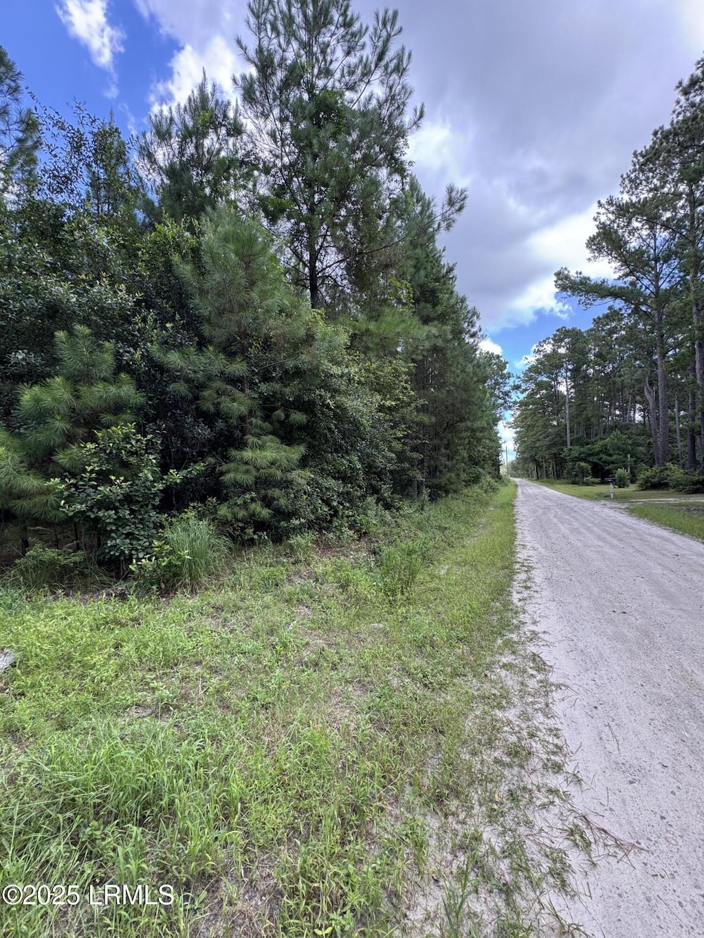 Tbd Salleys Lane, Pineland, SC 29934 - photo 1