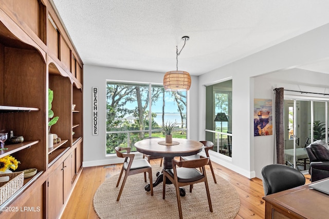 36 Stuart Town Ct, Beaufort, SC 29902 - dining space with baseboards and light wood-style flooring