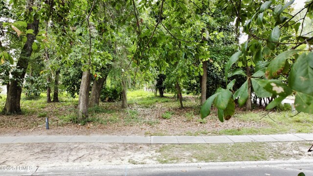 104 Palmetto Pl, Beaufort, SC 29902 - photo 6