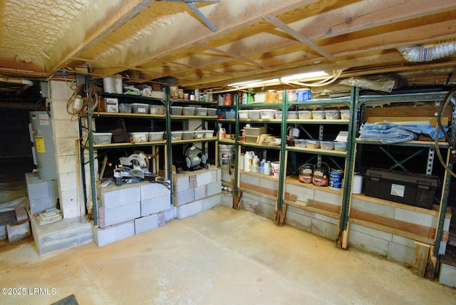 storage area featuring gas water heater
