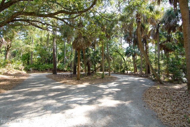 view of road with a forest view