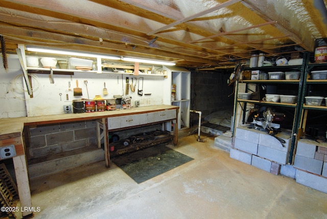 unfinished basement with a workshop area