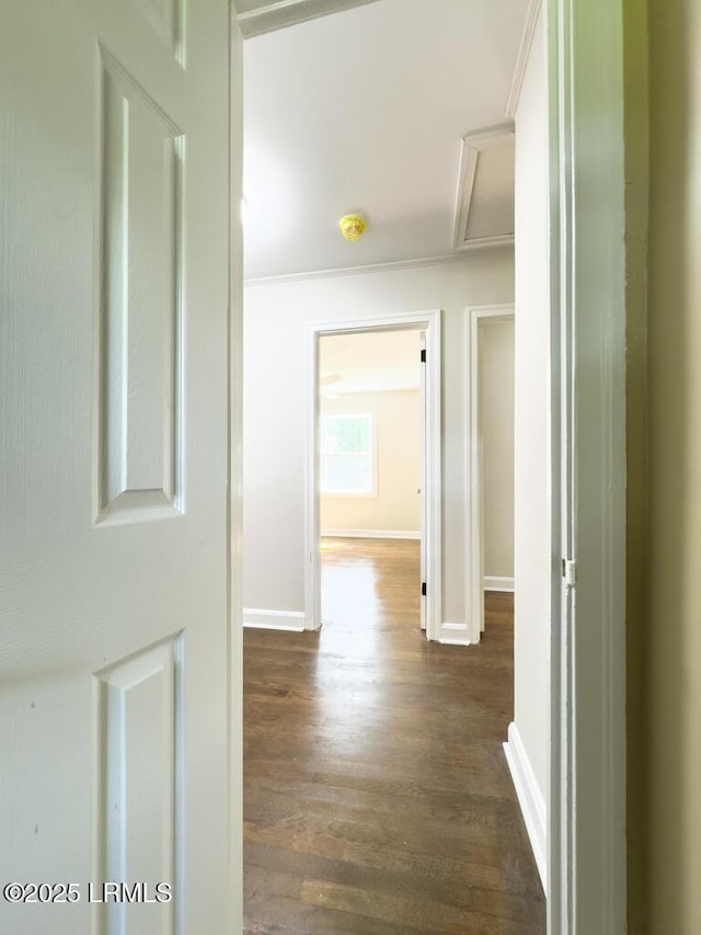 1804 Westview Ave, Beaufort, SC 29902 - photo 43